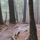 Illustration for article titled Mt. Si - Simplify and Add Lightness
